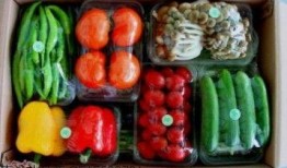 钛9吃瓜爆料最新视频